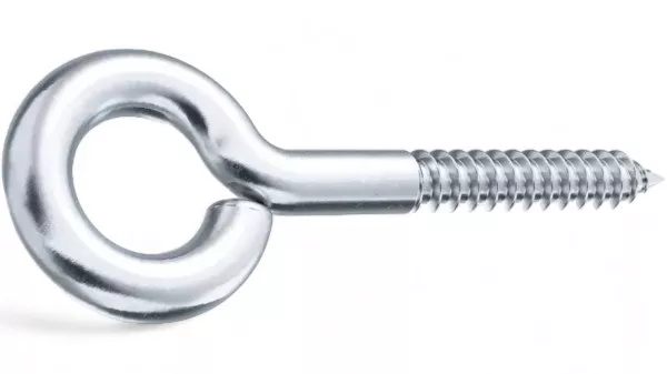 Vis à oeillet 100pces