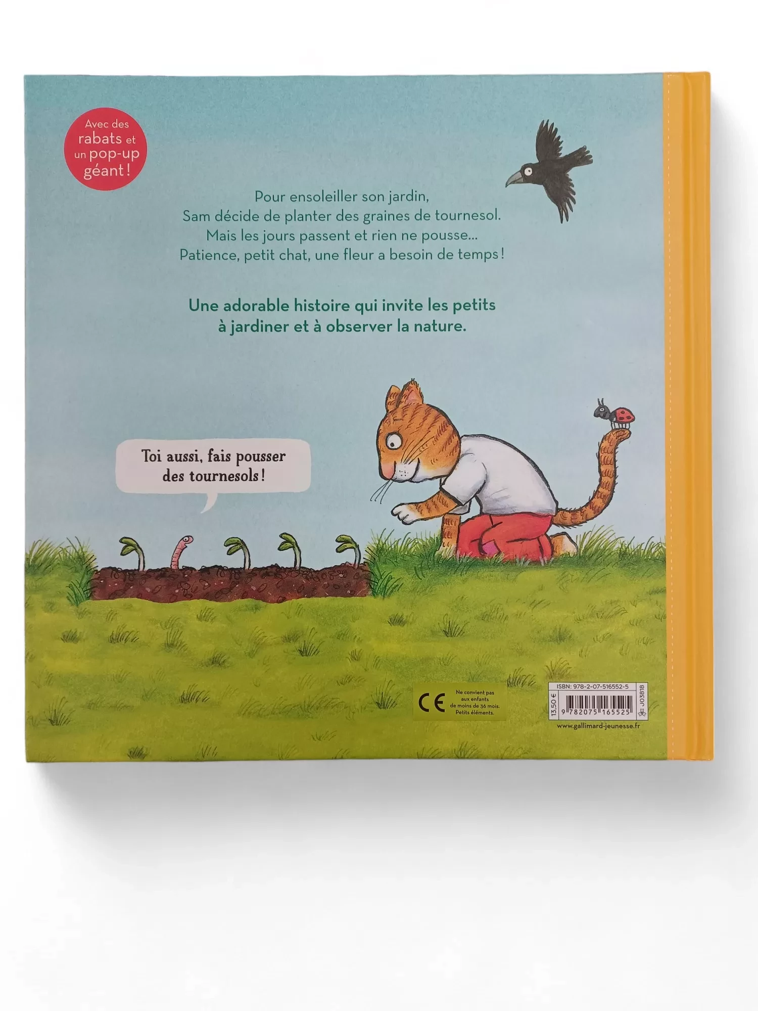 Livre Je plante un Tournesol