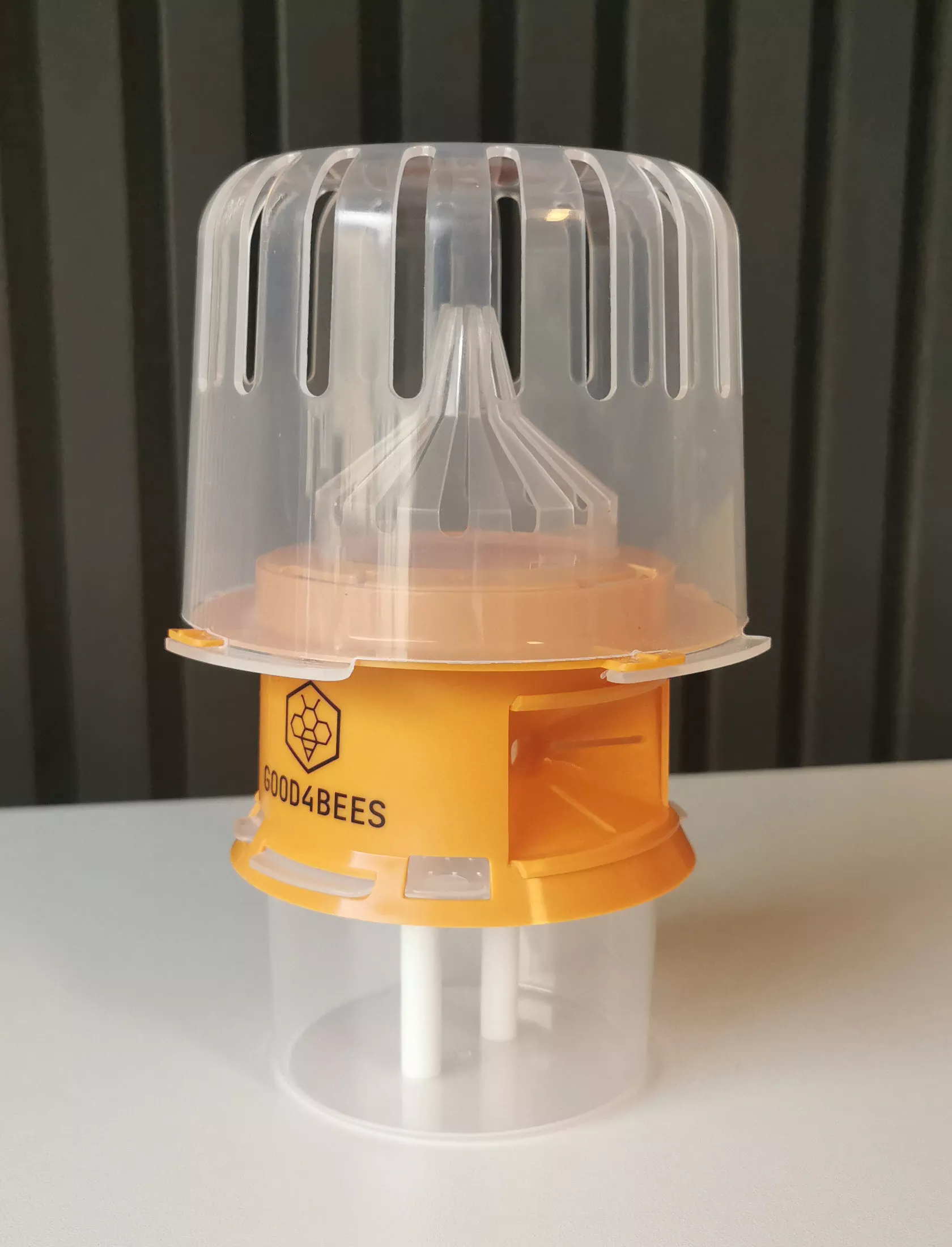 Piège à frelon asiatique GOOD4BEES