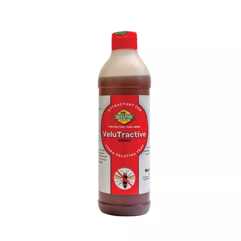 Appât pour frelon asiatique - VeluTractive 500 ML - Beevital